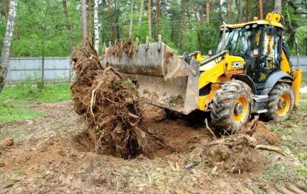 Удаление пней и корчевание вручную и со спецтехникой - Сыктывкар, цены, предложения специалистов