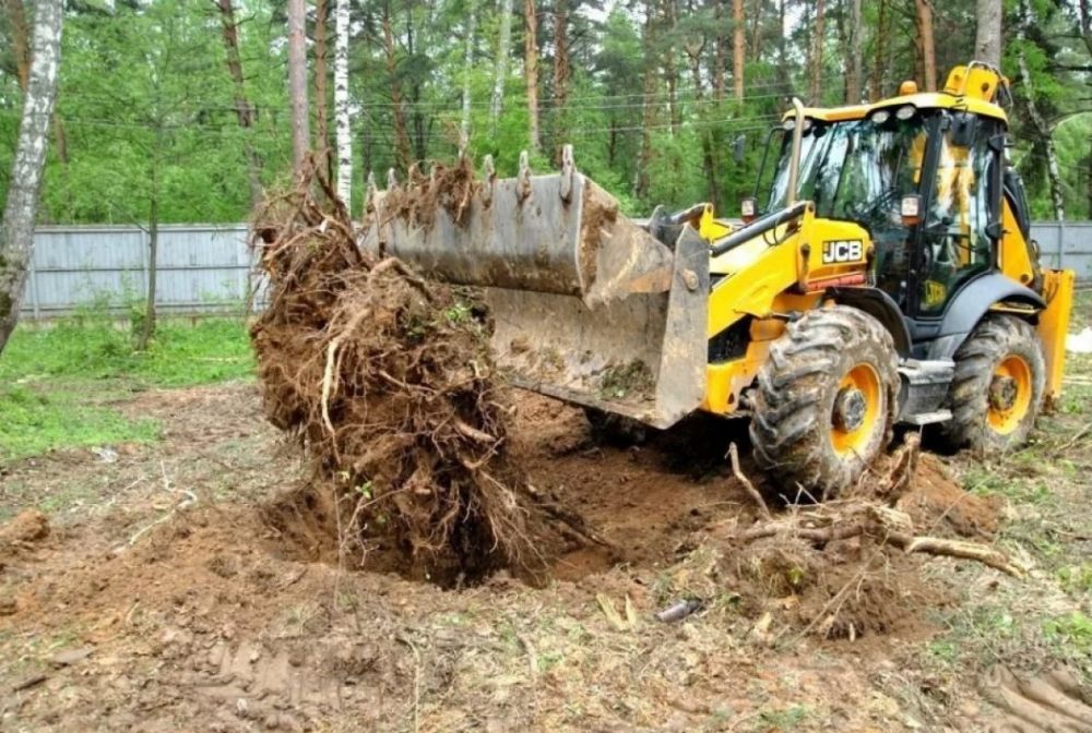 Удаление пней и корчевание вручную и со спецтехникой стоимость услуг и где заказать - Сыктывкар