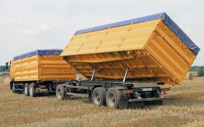Услуги зерновозов для перевозки зерна - Сыктывкар, цены, предложения специалистов