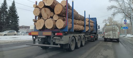 Поиск транспорта для перевозки леса, бревен и кругляка стоимость услуг и где заказать - Сыктывкар